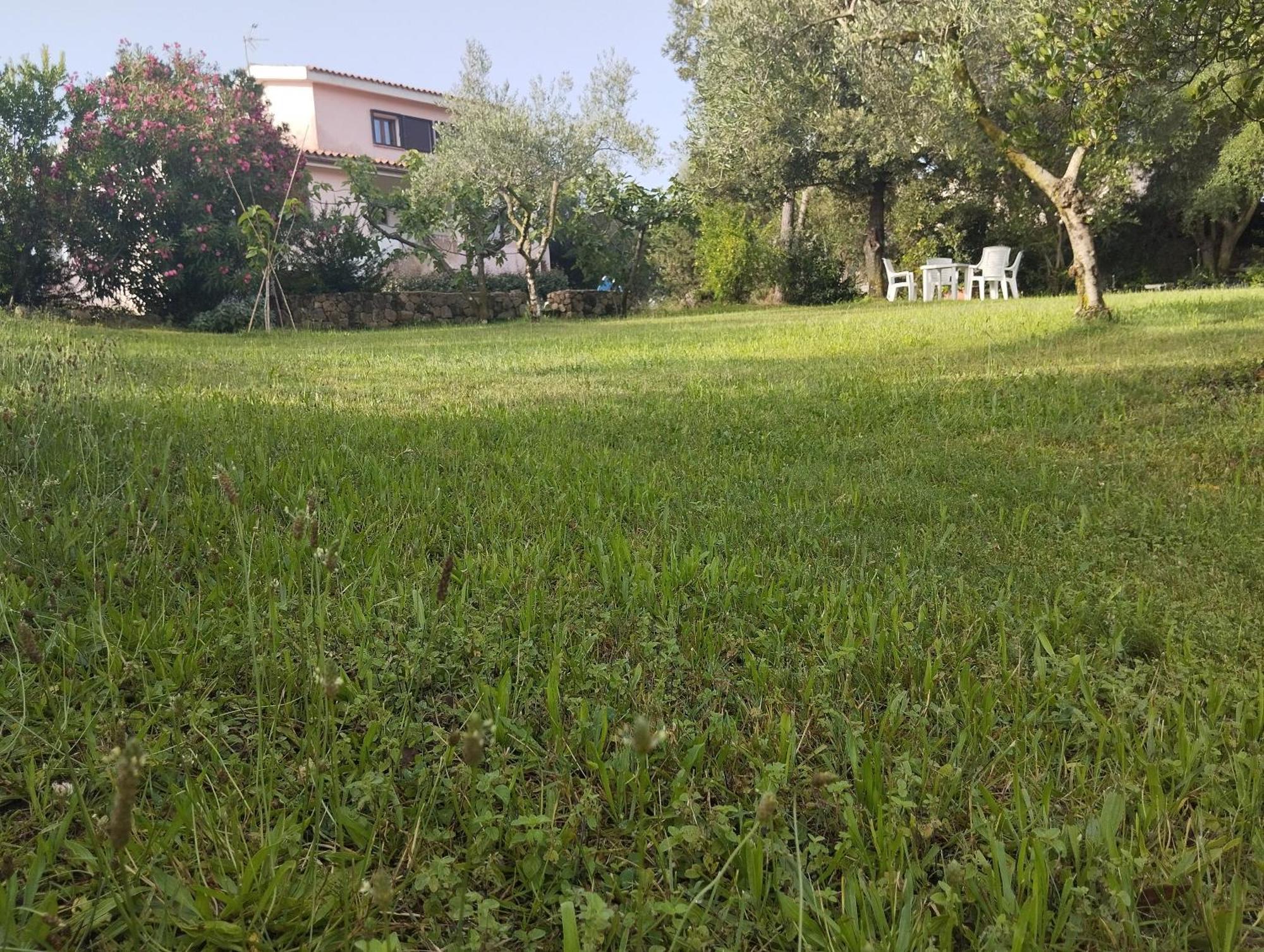 Appartement In Bruno *